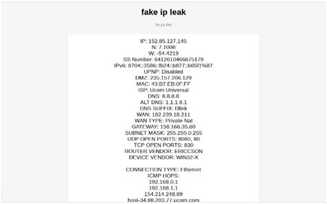 fake ip leak|IP Address Leak Test